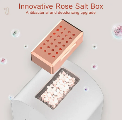 Shoe Dryer Rose Salt Box